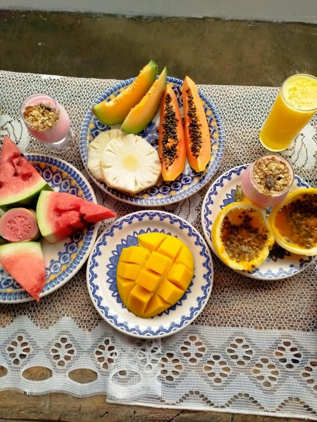 Villa Dos Coqueirais イカライー エクステリア 写真