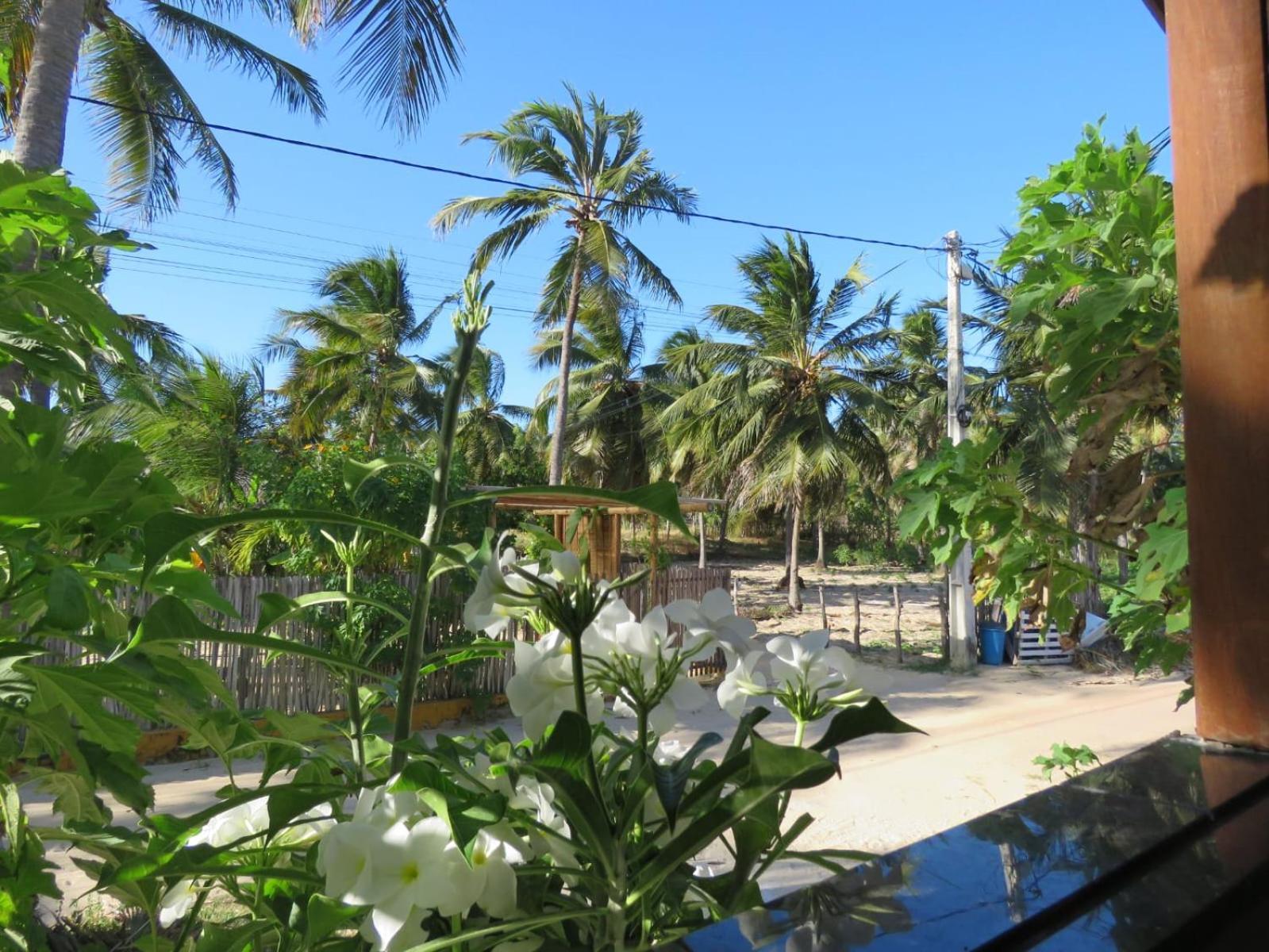 Villa Dos Coqueirais イカライー エクステリア 写真